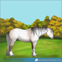 Horse Color:Gray Amber Champagne 