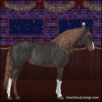 Horse Color:Liver Chestnut Rabicano 