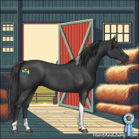 Horse Color:Blue Roan Tobiano 