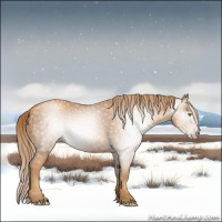 Horse Color:Gray Gold Champagne 