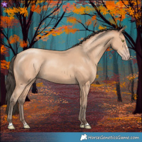 Horse Color:Amber Champagne 