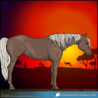 Horse Color:Silver Black 