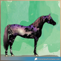 Horse Color:Void Watercolor White Spotted Liver Red Onyx Splash 
