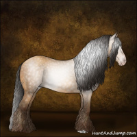 Horse Color:Gray Amber Champagne 