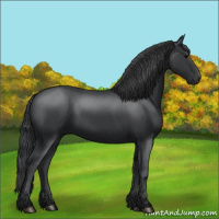 Horse Color:Black 