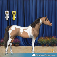 Horse Color:Bay Dun Tobiano 