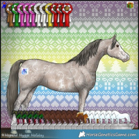 Horse Color:White Spotted Liver Red Dun Ice Mushroom