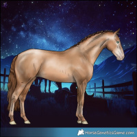 Horse Color:Gray Sable Champagne Pearl 