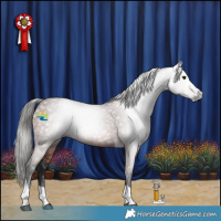 Horse Color:Gray Bay Tobiano