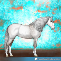 Horse Color:Gray Classic Champagne Splash 