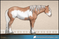 Horse Color:Silver Sable Champagne Frame 