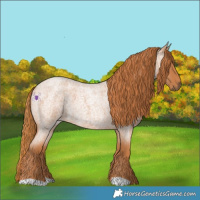 Horse Color:Red Roan 