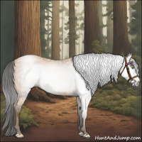 Horse Color:Gray Amber Champagne 