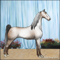 Horse Color:Gray Amber Champagne 