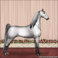 Horse Color:Gray Black 