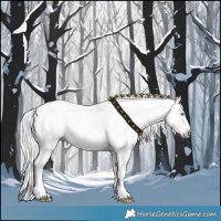 Horse Color:Gray Gold Champagne