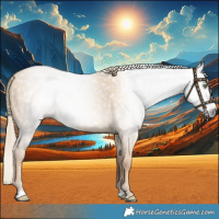 Horse Color:Gray Gold Champagne Dun 