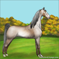 Horse Color:Gray Amber Champagne 