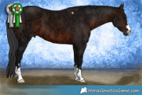 Horse Color:Brown Ice