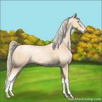 Horse Color:Gold Cream Champagne Pearl