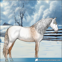 Horse Color:Gray Gold Champagne 