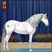 Horse Color:White Spotted Liver Red Dun Appaloosa 