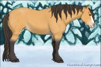 Horse Color:Buckskin Roan Splash 