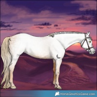 Horse Color:Gray Gold Champagne 