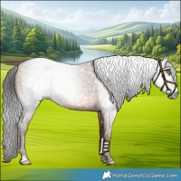 Horse Color:Gray Amber Champagne 