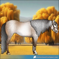 Horse Color:Gray Amber Champagne 