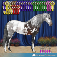Horse Color:White Spotted Brown 