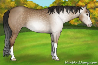Horse Color:Gray Classic Champagne 