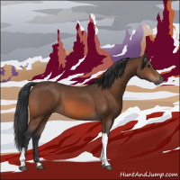 Horse Color:Bay Tobiano Rabicano