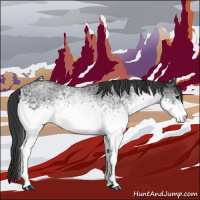Horse Color:White Spotted Blue Roan Rabicano  and White Spotted Blue Roan Rabicano 
