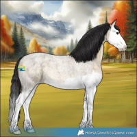 Horse Color:Buckskin Roan Dun Splash 