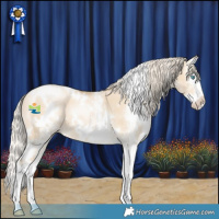 Horse Color:White Spotted Palomino Pearl Dun Splash 