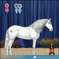 Horse Color:Silver Perlino Splash Appaloosa 