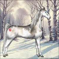 Horse Color:White Spotted Liver Red Onyx Mushroom Splash 