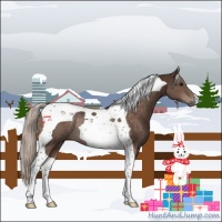 Horse Color:Silver Brown Tobiano Rabicano 
