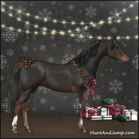 Horse Color:Liver Chestnut Tobiano  and Liver Chestnut 