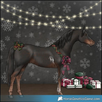 Horse Color:Liver Chestnut  and Liver Chestnut Tobiano 