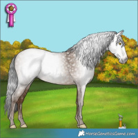 Horse Color:Gray Sable Champagne 