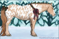 Horse Color:Gold Champagne Appaloosa