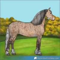 Horse Color:Brown Dun and Silver Brown Dun