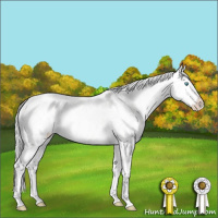 Horse Color:Silver Smoky Creme Appaloosa Rabicano