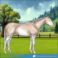 Horse Color:Silver Classic Champagne Dun Splash Frame 