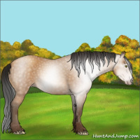 Horse Color:Gray Amber Champagne 