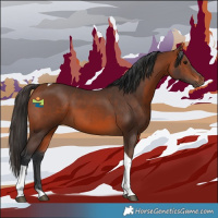 Horse Color:Bay Tobiano 
