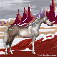 Horse Color:Gray Silver Bay Tobiano Rabicano 