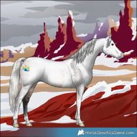 Horse Color:Gray Silver Brown Tobiano 